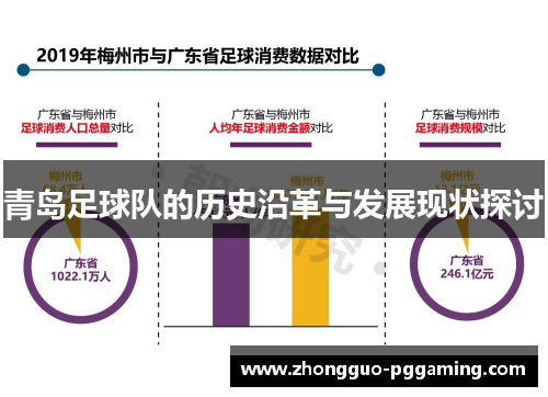 青岛足球队的历史沿革与发展现状探讨