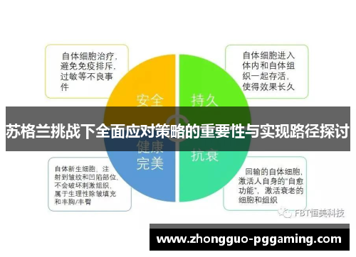 苏格兰挑战下全面应对策略的重要性与实现路径探讨